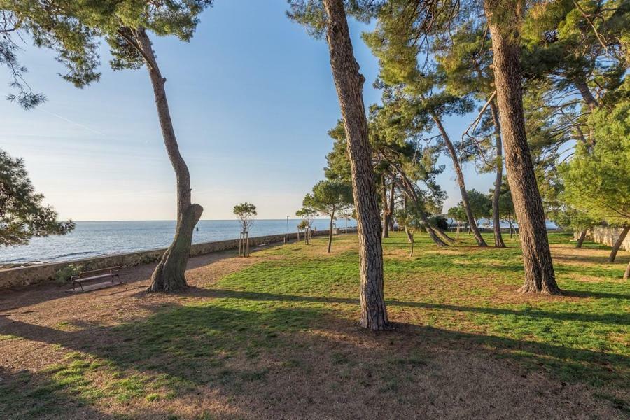 Apartment Hannah Novigrad (Istria) Exterior foto